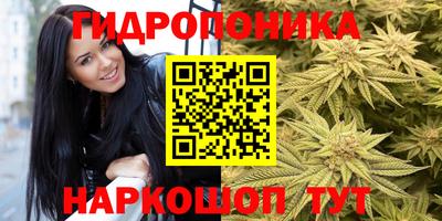 прущие грибы Кингисепп