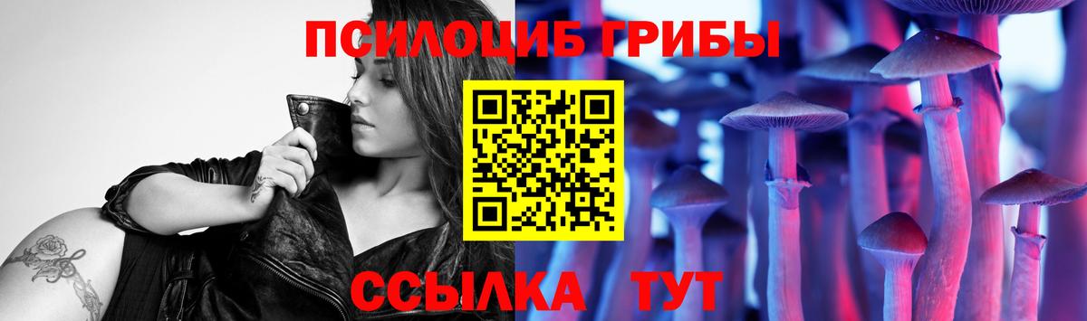 Шелехов  Галлюциногенные грибы MAGIC MUSHROOMS  Вход с VPN 
